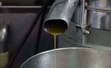 zeytinyağı sıkma yöntemleri, soğuk sıkım, sıcak sıkım