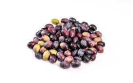 zeytin yapımı