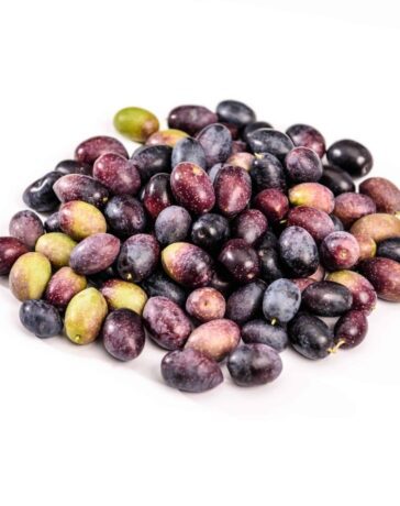 zeytin yapımı
