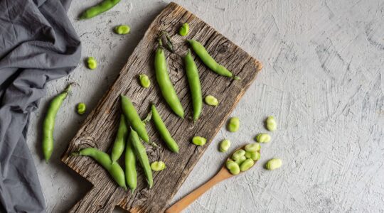 zeytinyağlı bakla tarifi